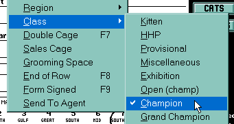 Competitive Class