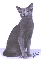Mikhail
