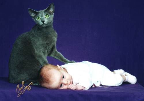 Mikhail and Chelsea